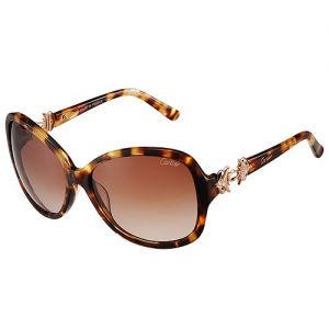  Cartier Bold Fox Hinges Sunglasses SUGC005 Gentry Amber Lenses Tortoise Frame