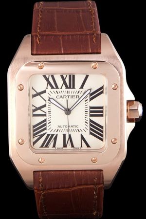 Men's Cartier Santos 44mm Rose Gold  Business Swiss SS Watch SKDT008 Brown Strap